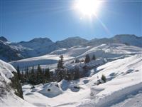 Arosa